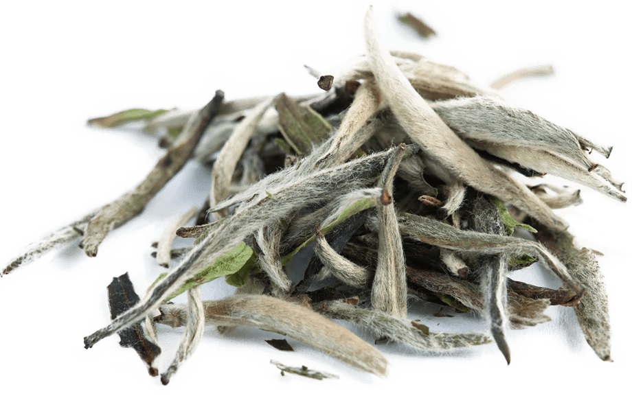 چای سلامت سفید بهراس