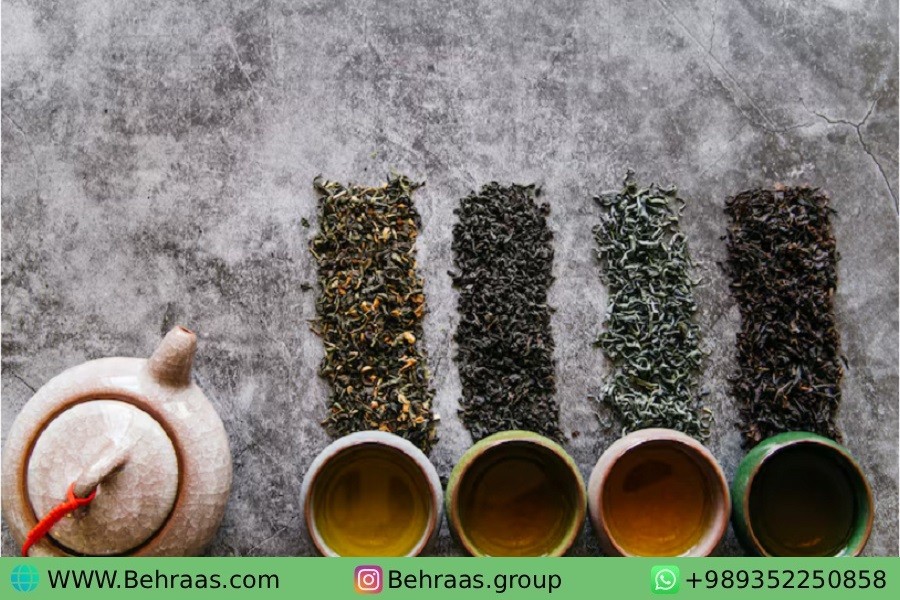 چای عمده از کجا بخریم؟